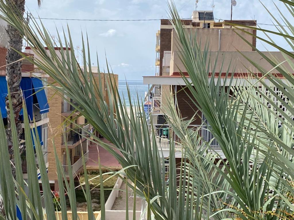 Apartament Seaside Dreams